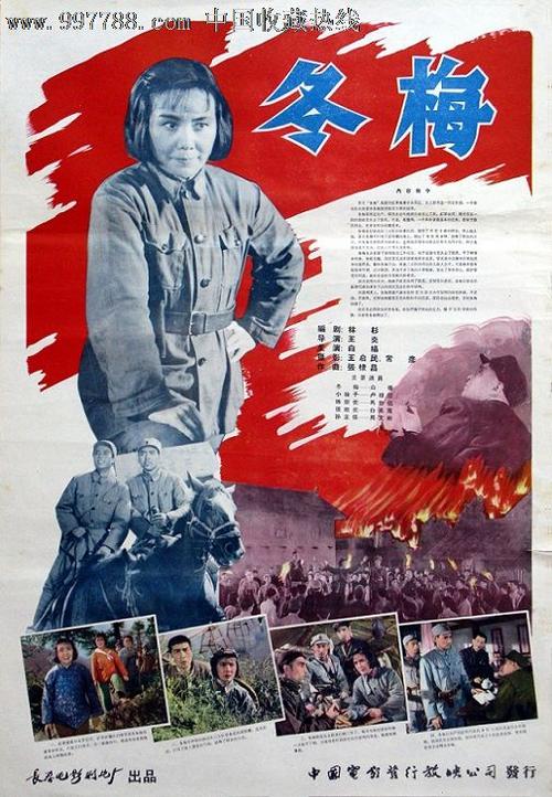 国际驾照图片样本